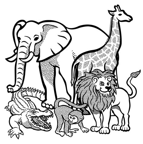 animals clip art black and white|black and white animal drawing.